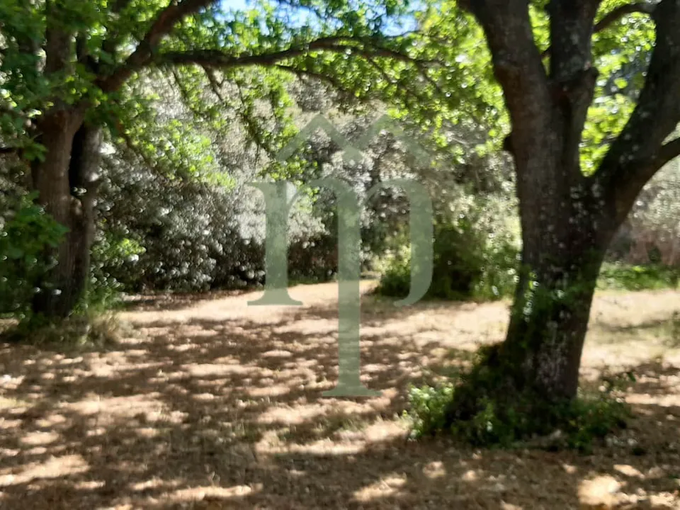 Tomt i Ostuni, Brindisi - bilde 1